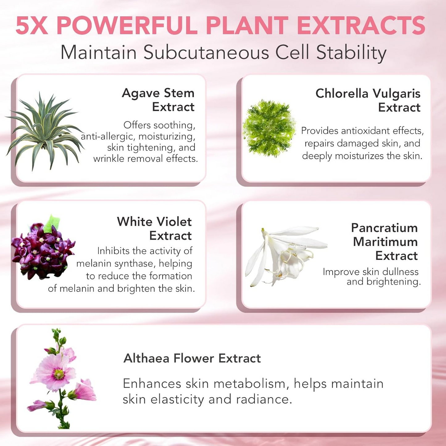 Skinnovate Collagen Night Wrapping Mask