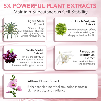 Skinnovate Collagen Night Wrapping Mask